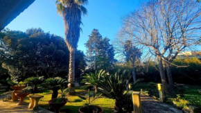 La Pineta